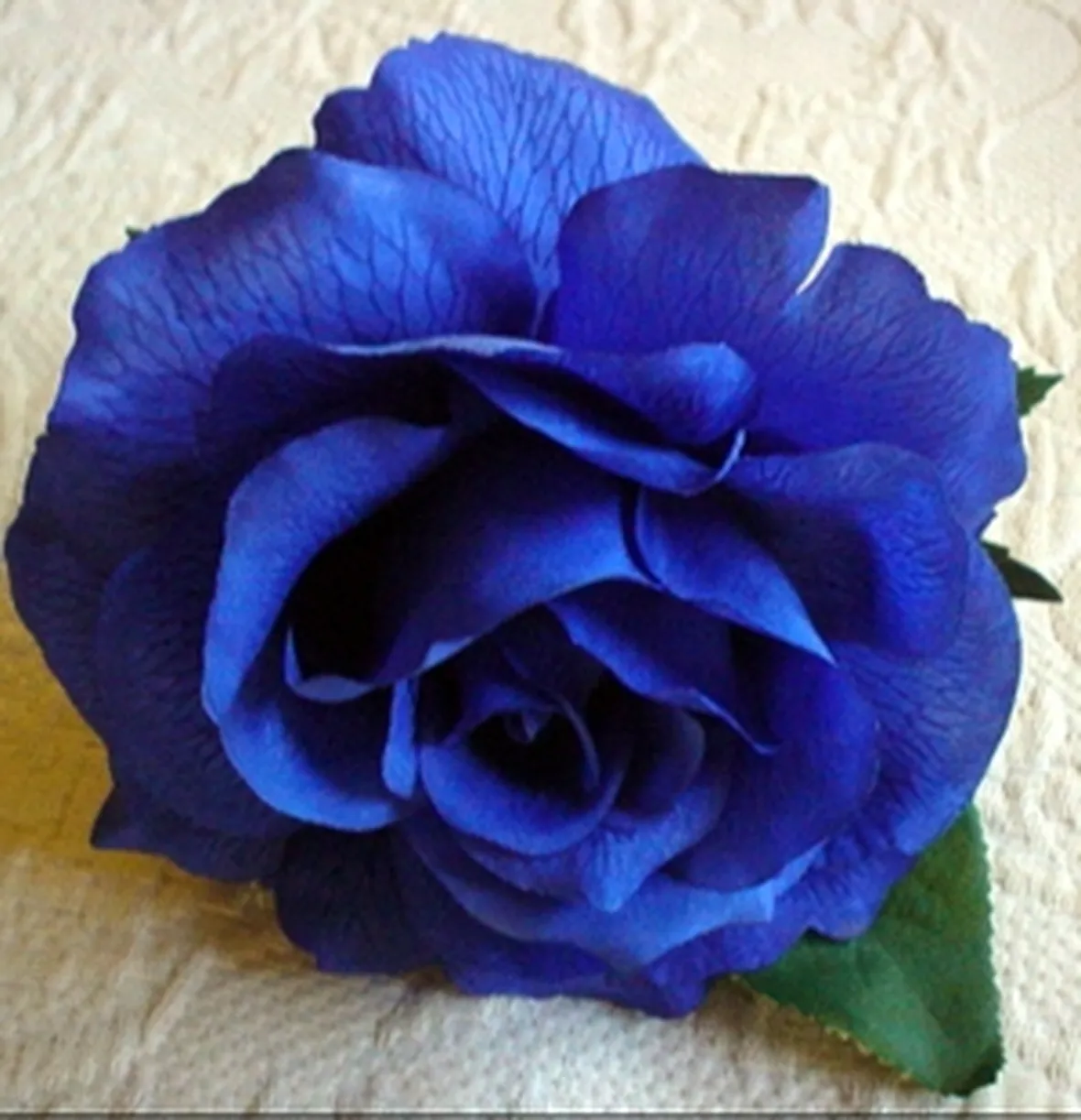 mazzo di rose blu