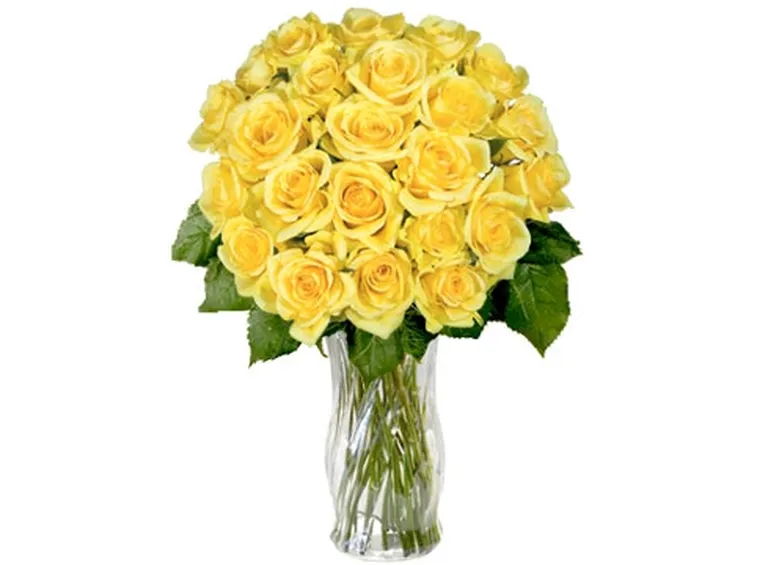 mazzo di rose gialle