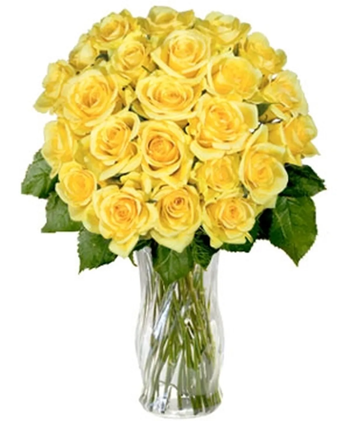 mazzo di rose gialle