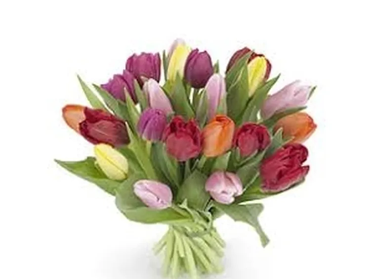 mazzo di rose rosse costo