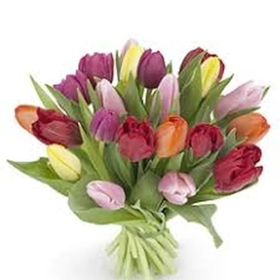 mazzo di rose rosse costo