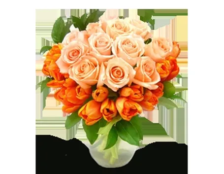 rose amicizia