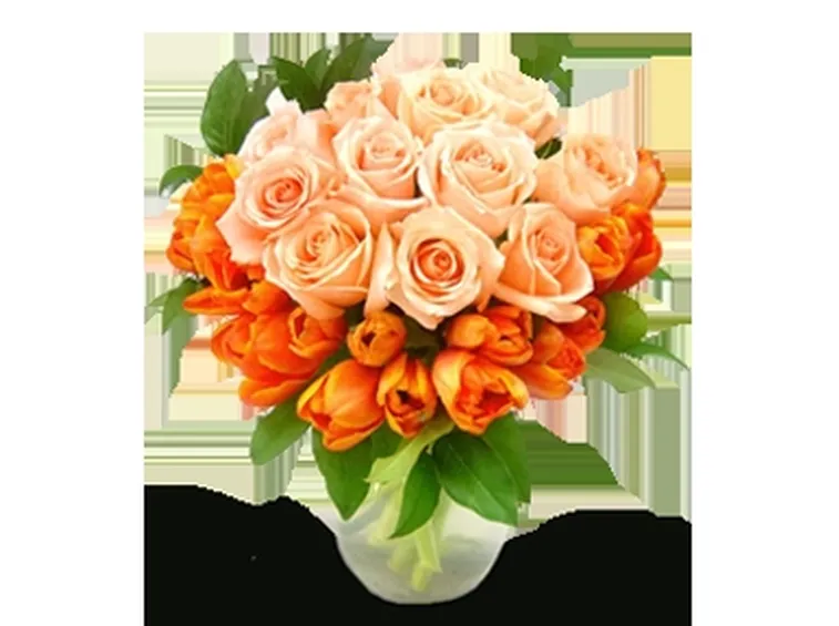 rose amicizia