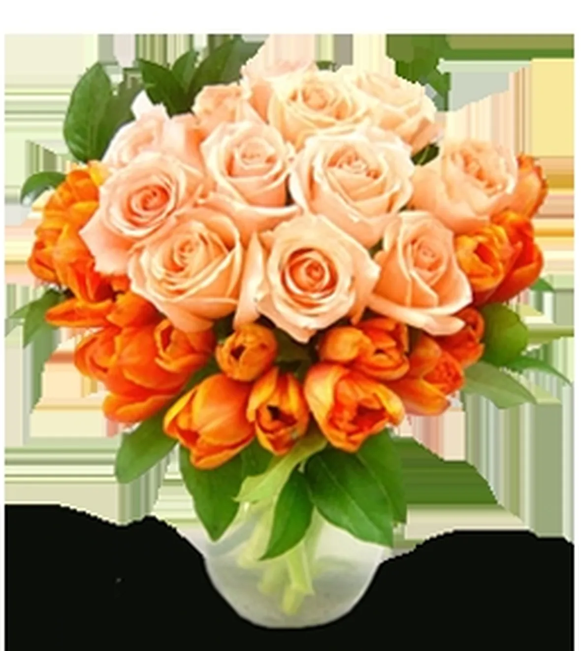 rose amicizia