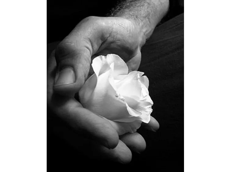rose bianche bouquet