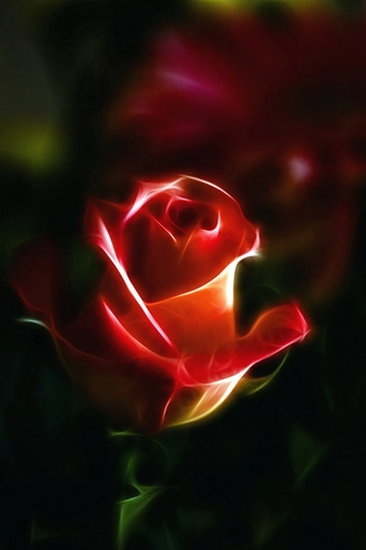 rose biella