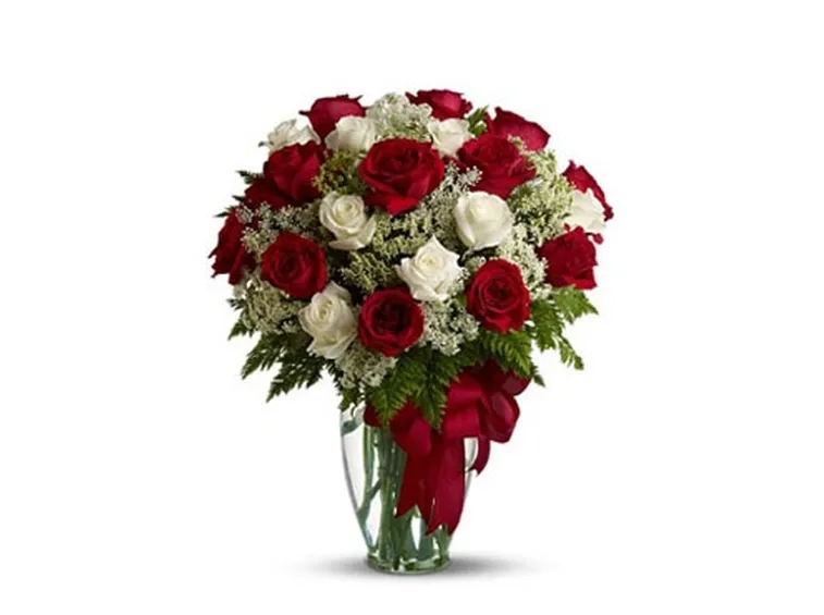 rose domenica