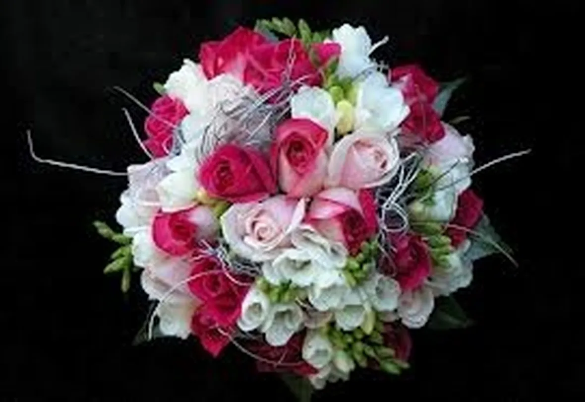 rose lucca