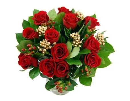 rose natale