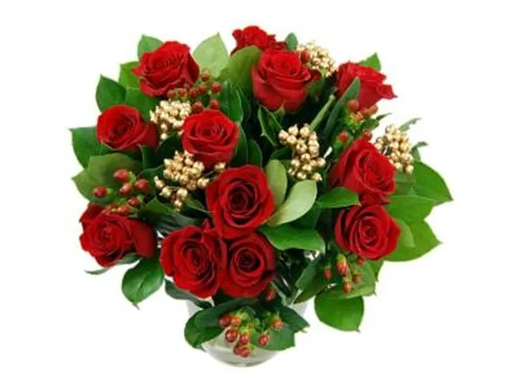 rose natale