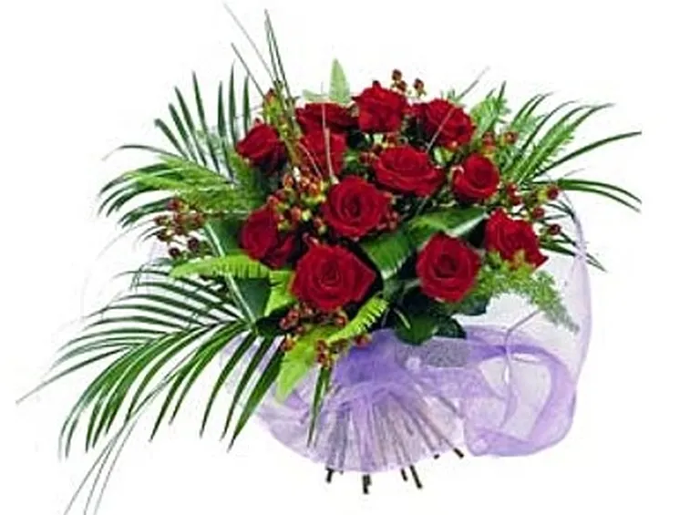 rose olbia
