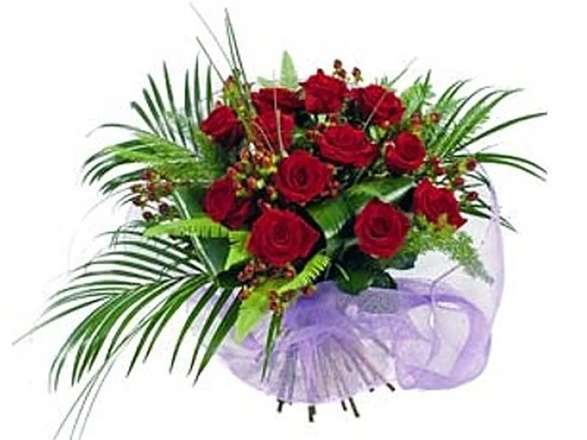 rose olbia