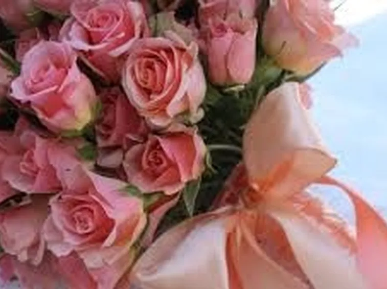 rose pordenone