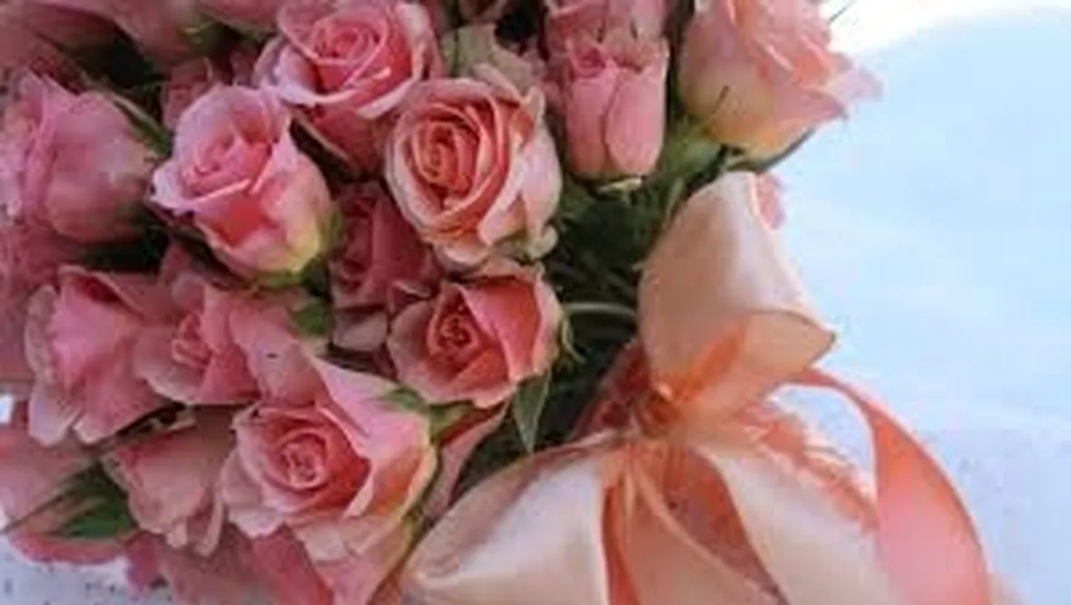 rose pordenone