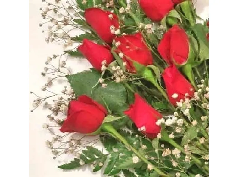 rose rosse bouquet