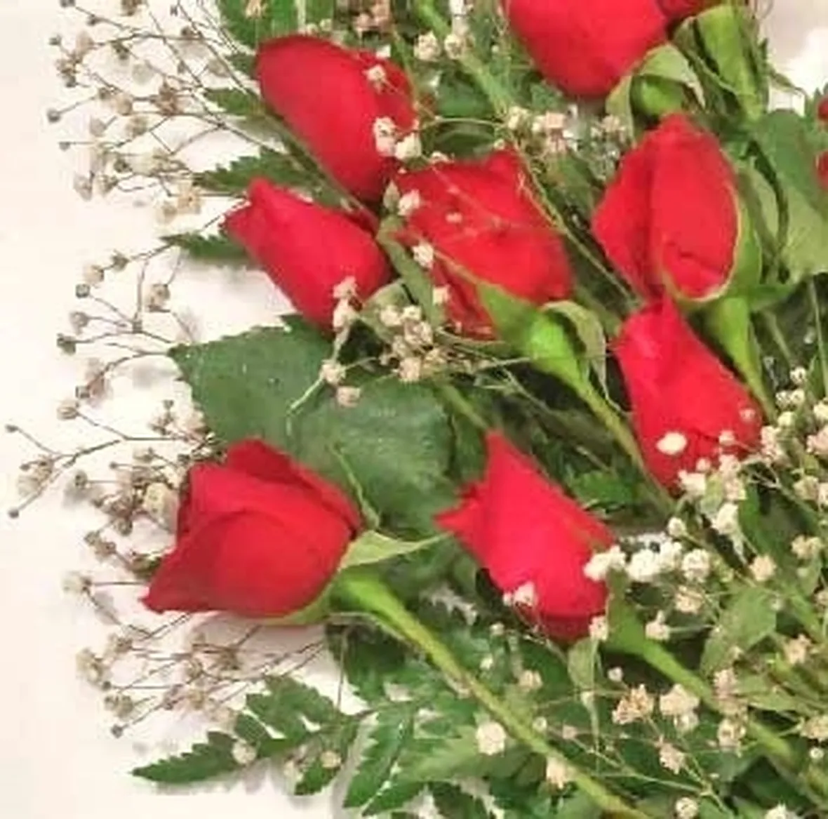 rose rosse bouquet