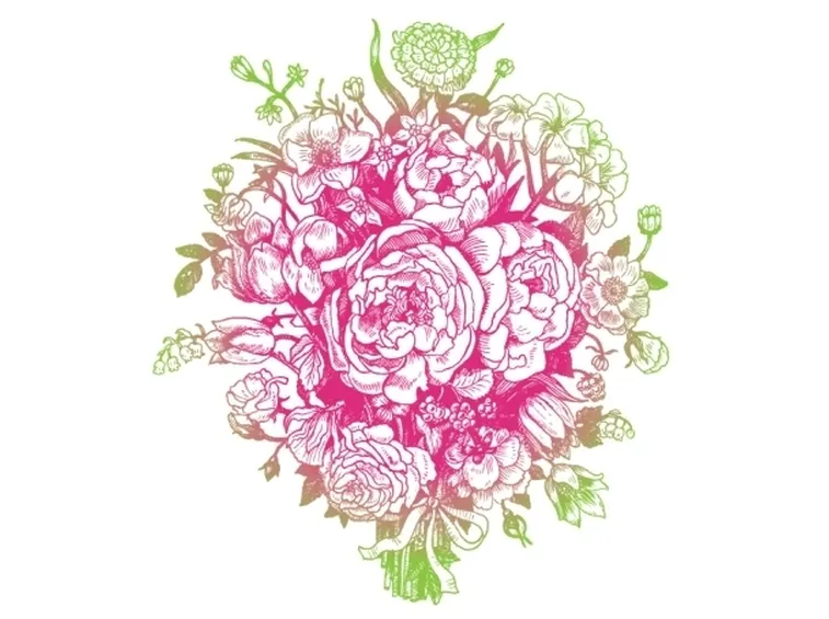 rose treviso