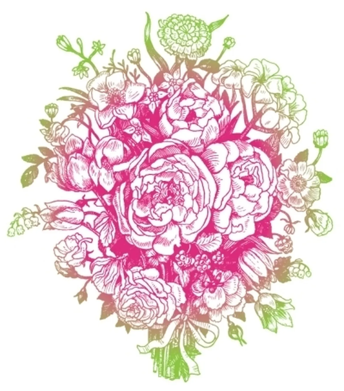 rose treviso