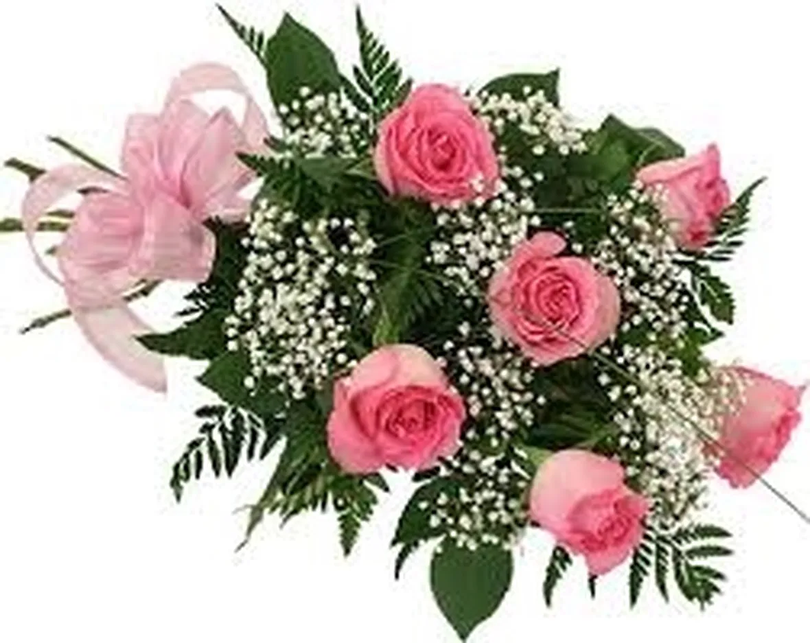 rose trieste