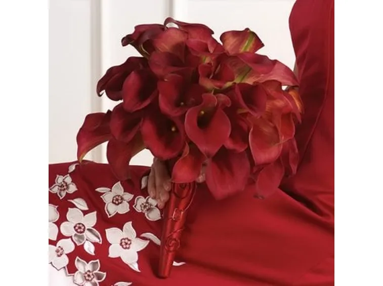 rose udine