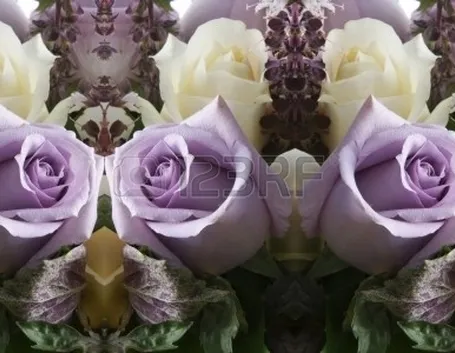 tutti i tipi di rose