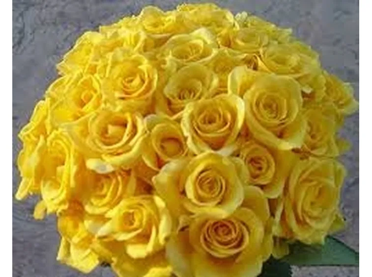 un mazzo di rose gialle-1