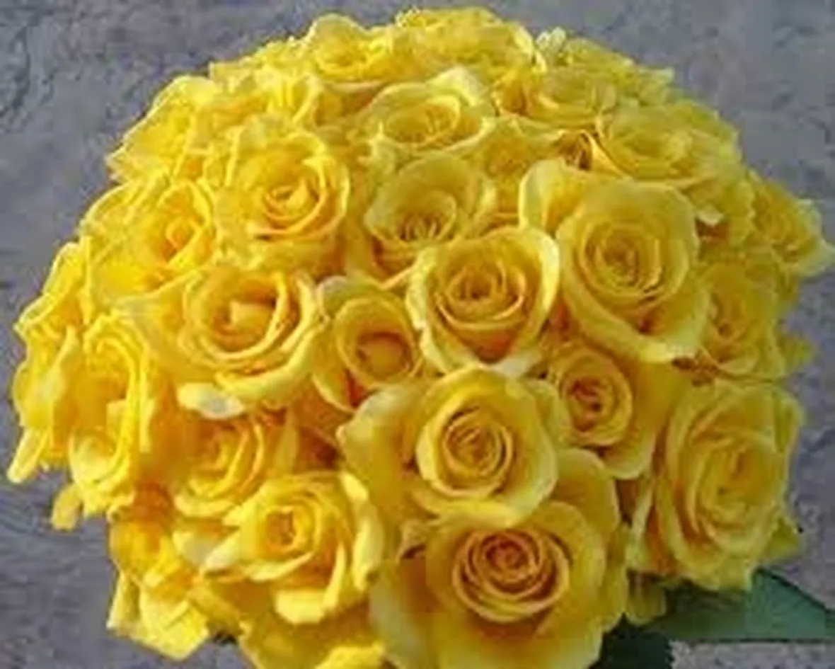 un mazzo di rose gialle-1