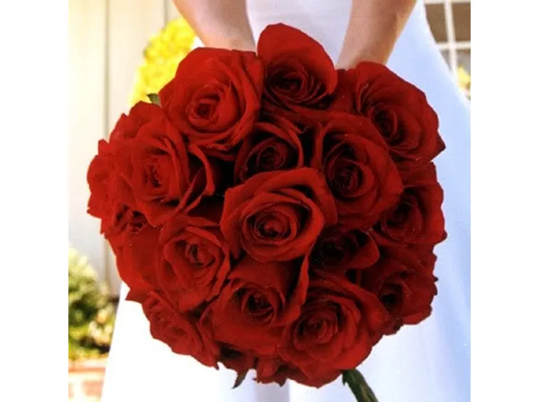 un  mazzo di rose rosse