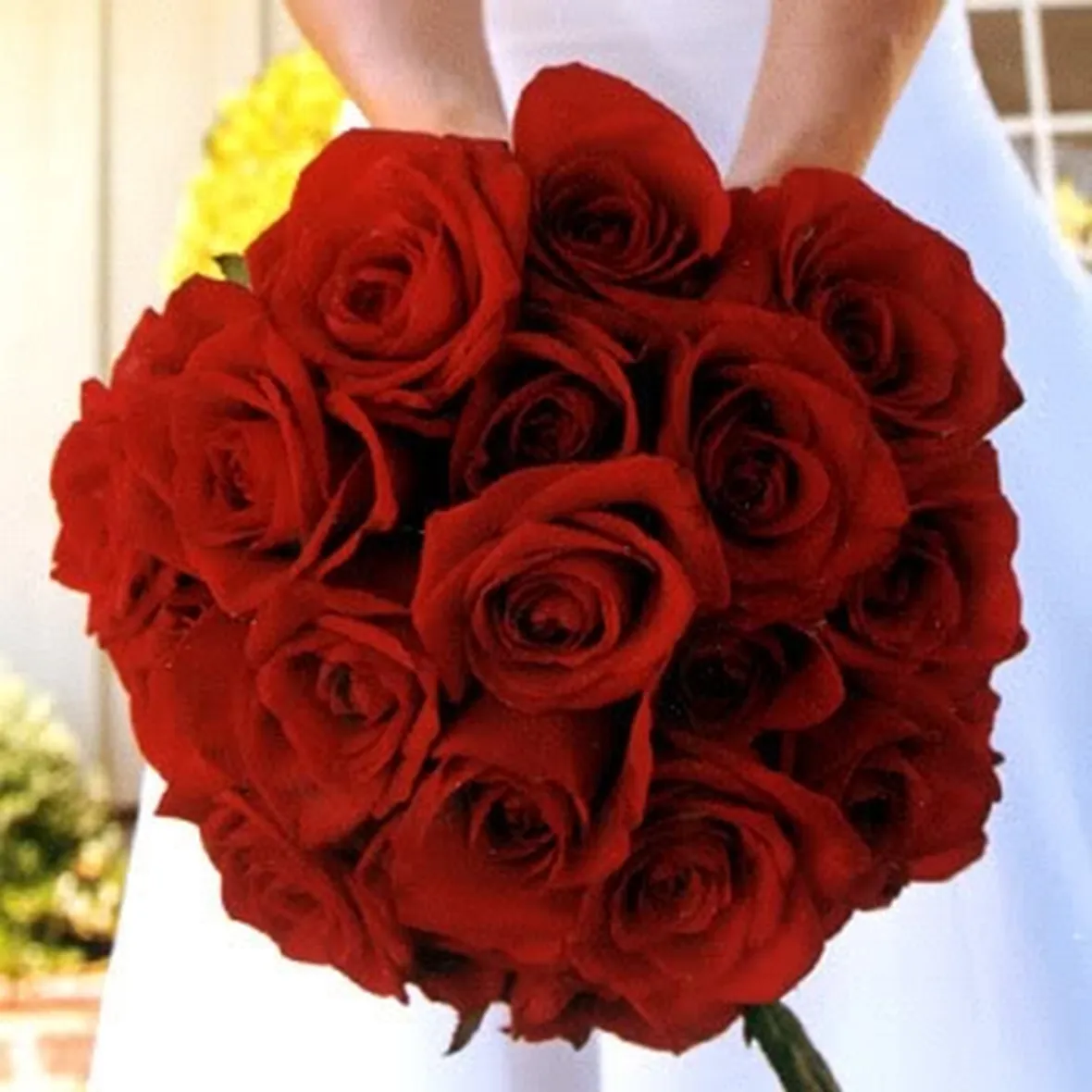 un  mazzo di rose rosse