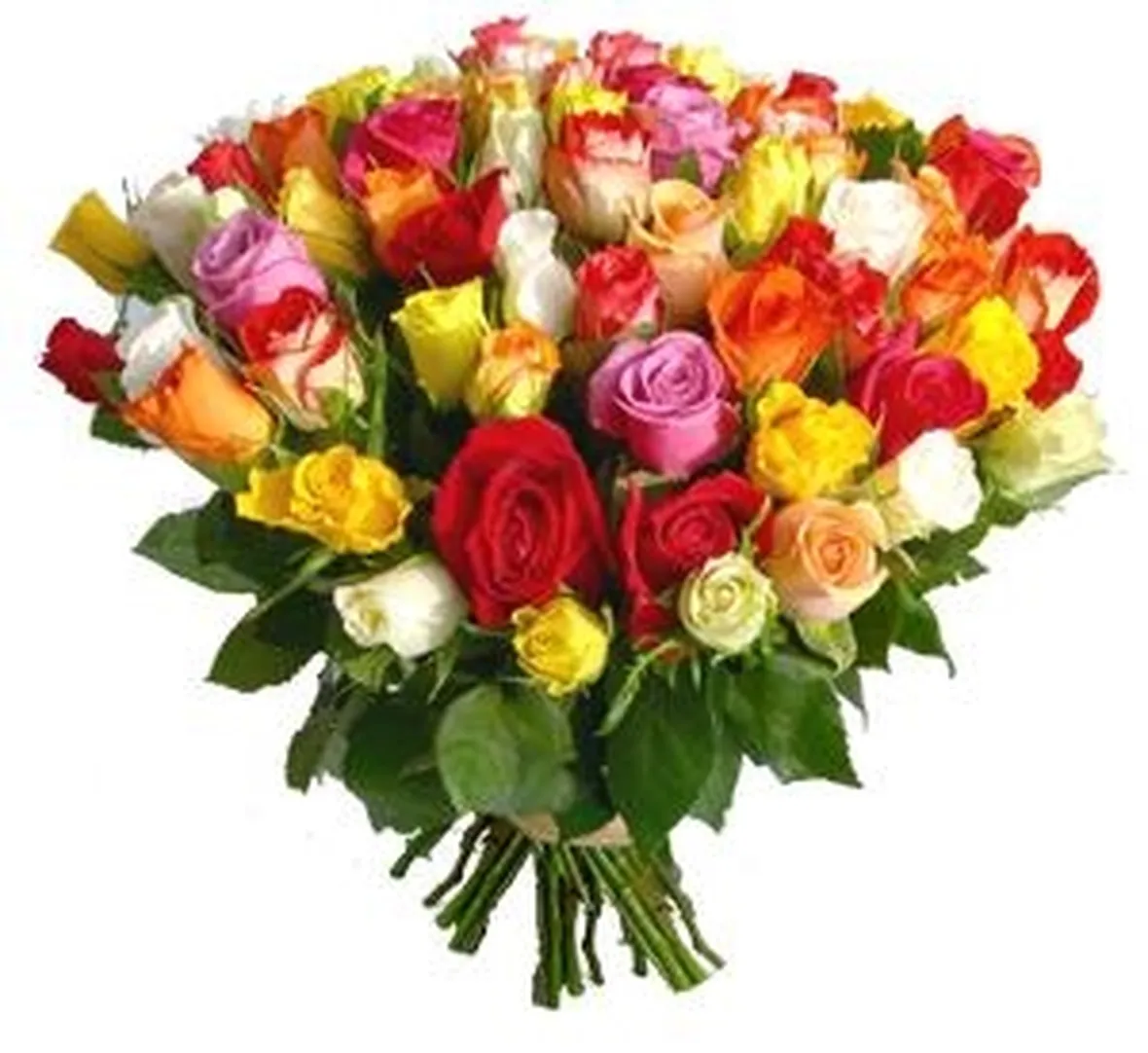 vendita mazzo di rose