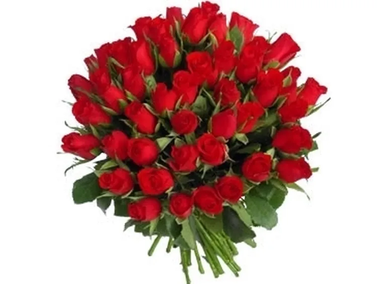 100 rose significato