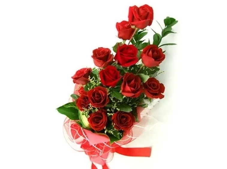 12 rose rosse significato