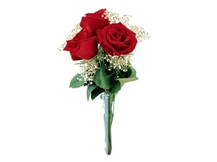 3 rose rosse significato