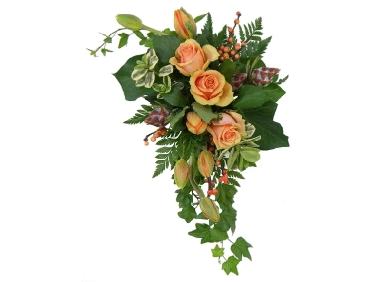 fiori amicizia-6