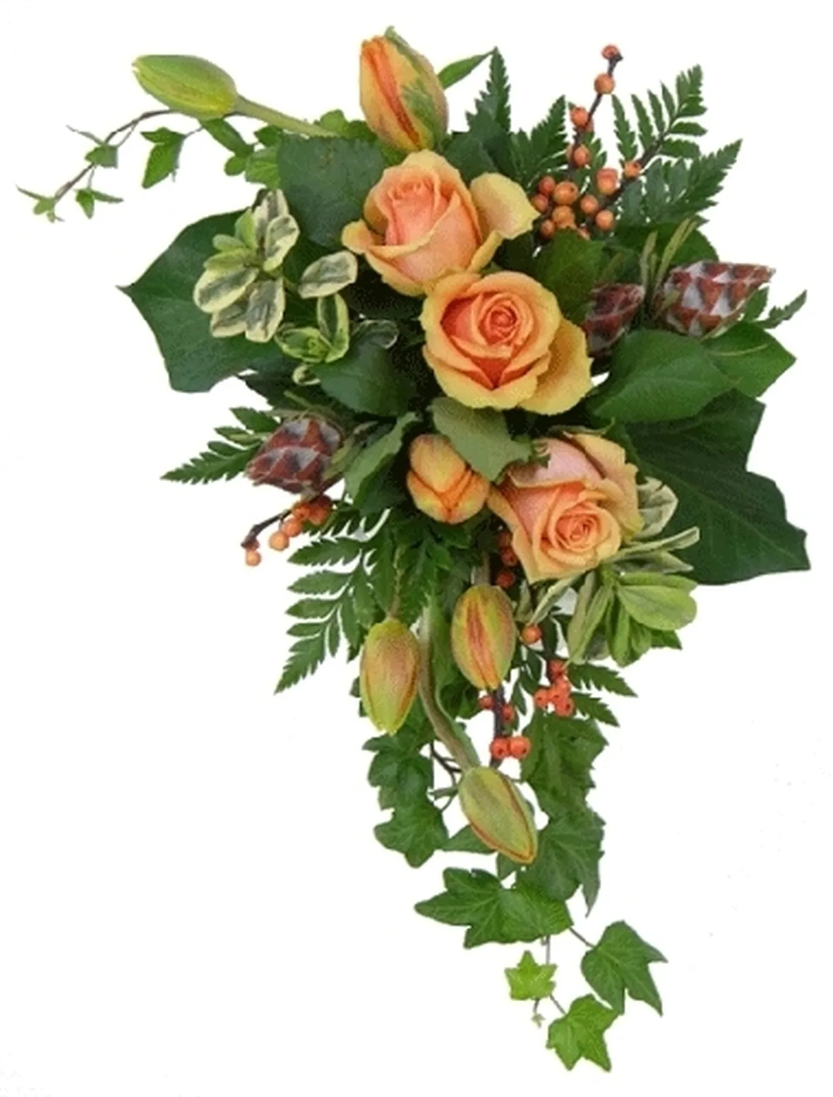 fiori amicizia-6