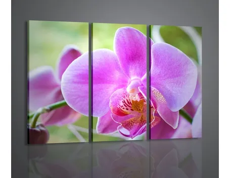 fiori amore-5