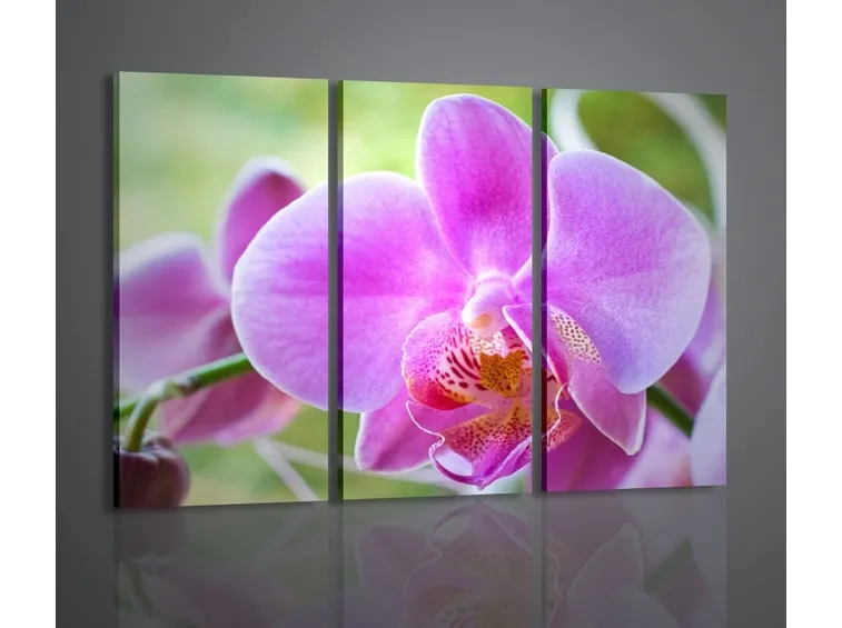 fiori amore-5