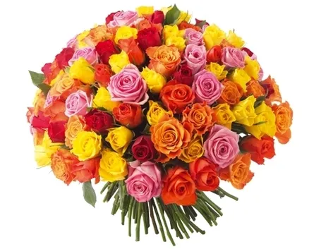 numero rose significato