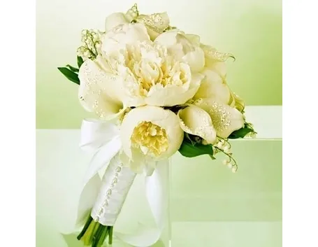 peonia
