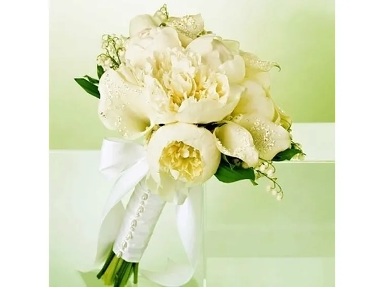 peonia