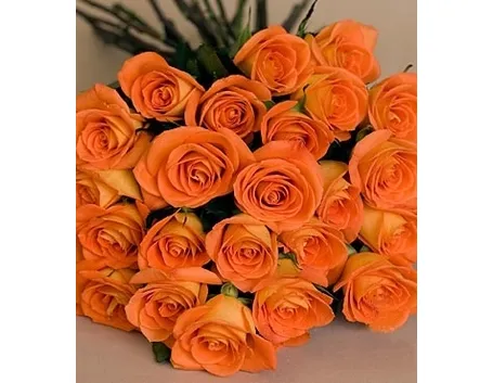 rosa arancione