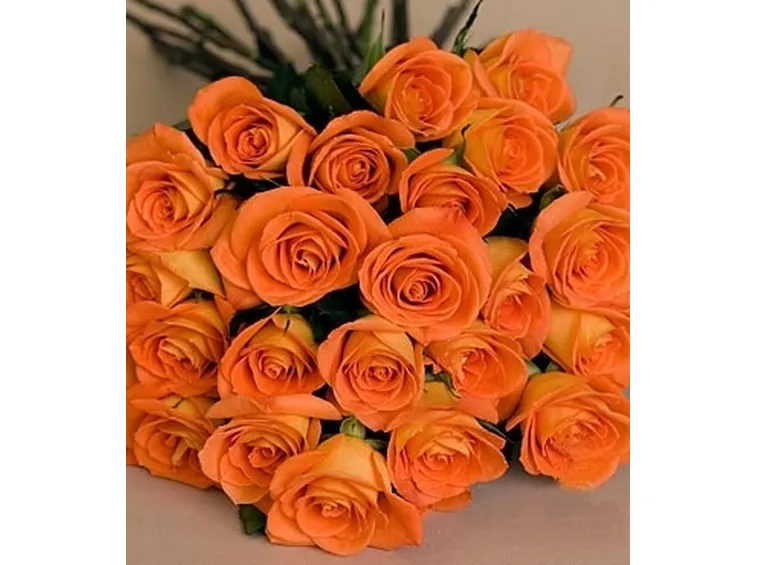 rosa arancione