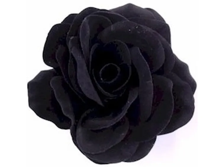 rosa nera significato