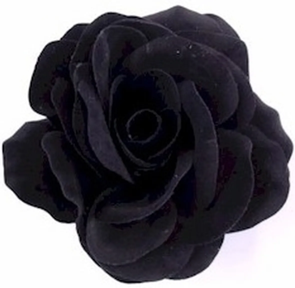 rosa nera significato