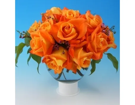significato dei fiori rosa arancione