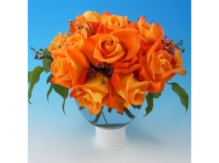 significato dei fiori rosa arancione