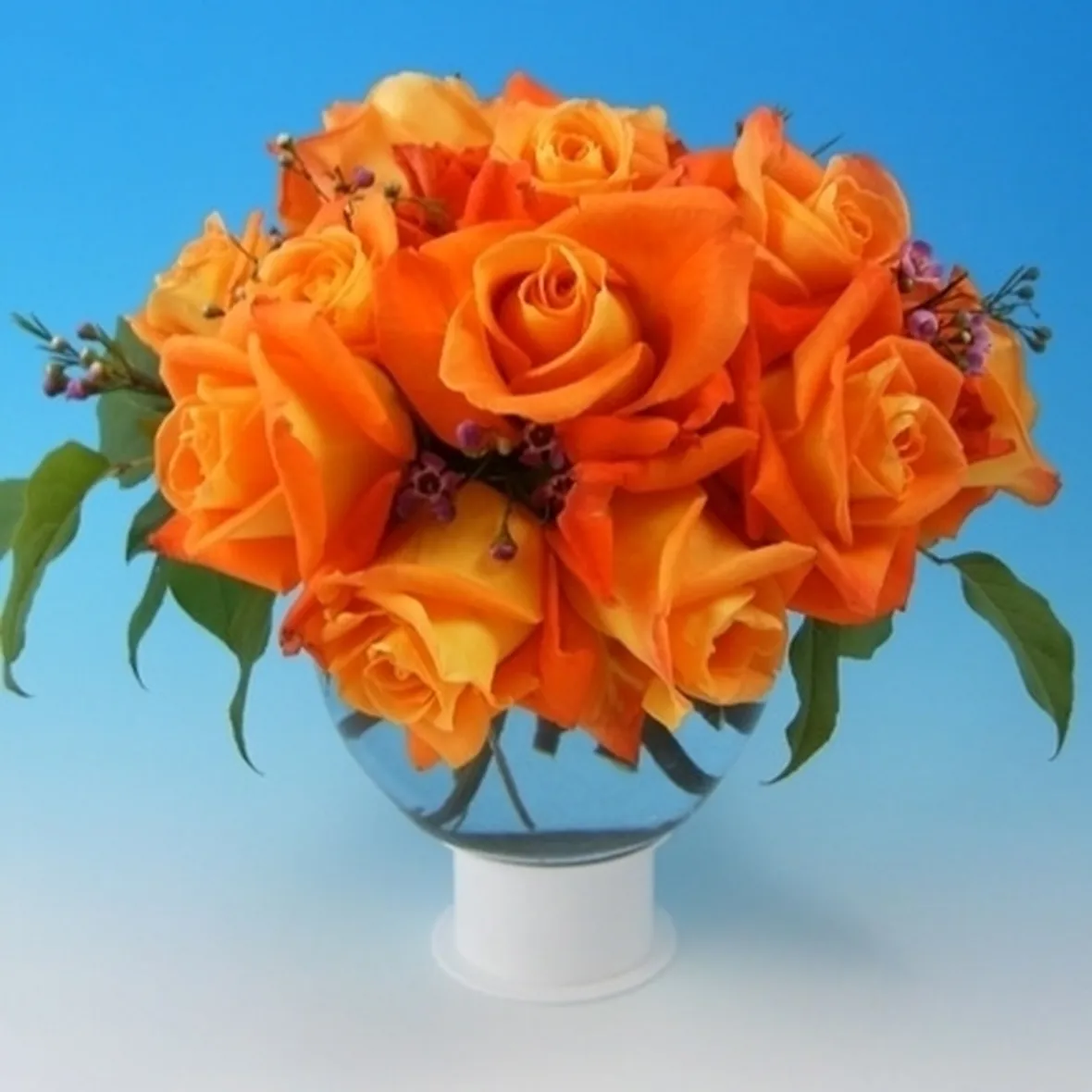 significato dei fiori rosa arancione