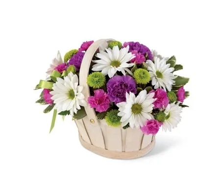 significato dei fiori rosa gialla