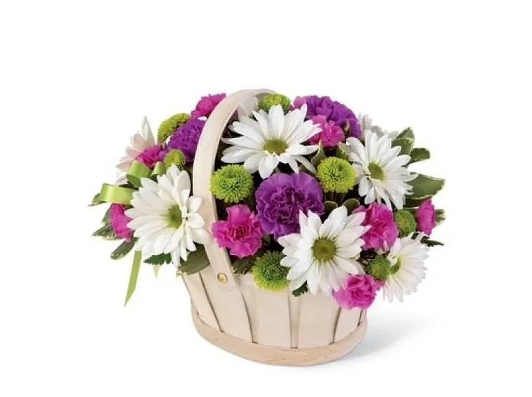 significato dei fiori rosa gialla