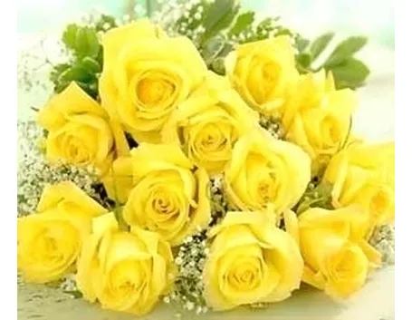 significato del colore delle rose